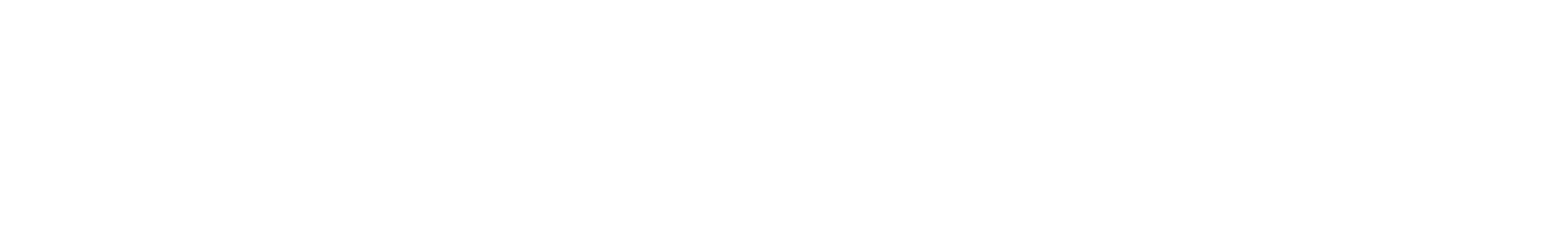 PLUGGIE - Secure Remote Access Solution